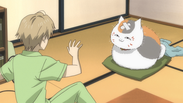 Person cat mat bookcase brownhair free wallpaper for desktop - medium preview image