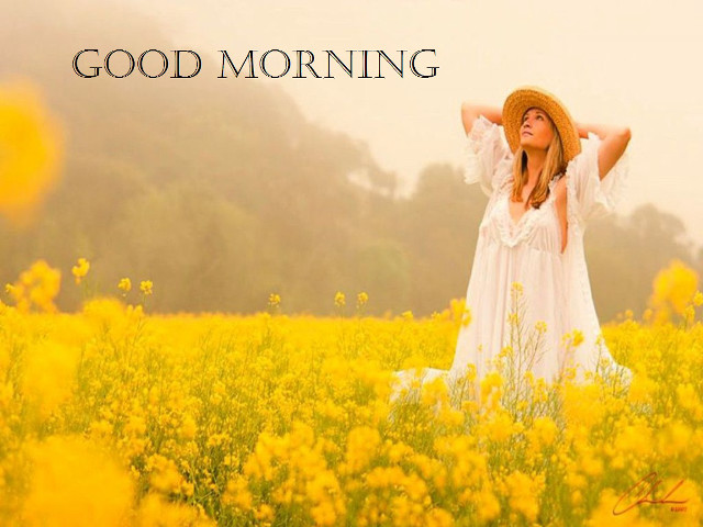 Woman field yellow flowers hat free wallpaper for desktop - medium preview image
