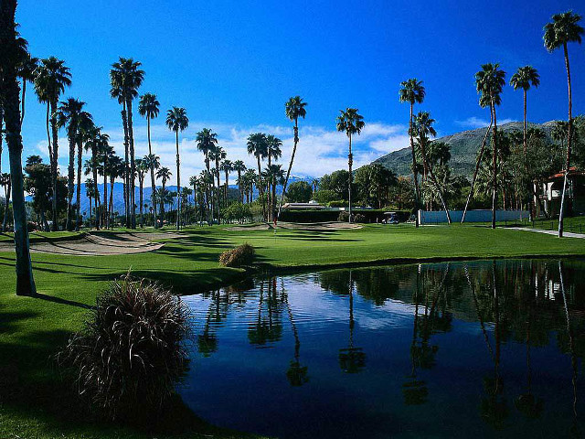 Golf course palm trees pond free wallpaper for desktop - medium preview image