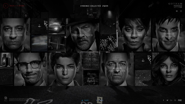 People facial expressions hair styles #2 free wallpaper for desktop - medium preview image