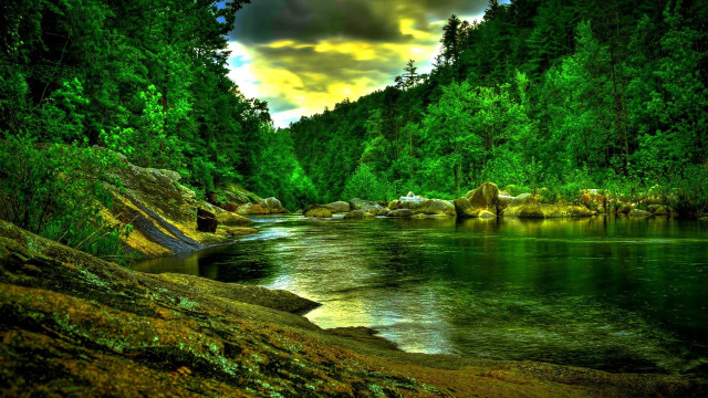 River lush trees rocks cloudy free wallpaper for desktop - medium preview image
