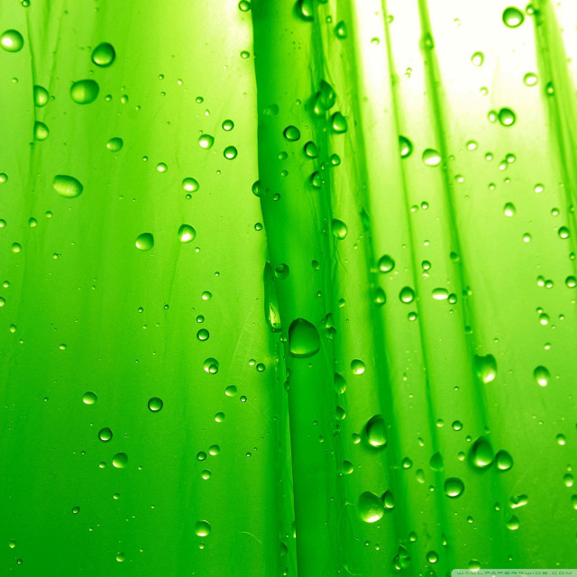 Green wall water drops white free wallpaper for tablet - medium preview image