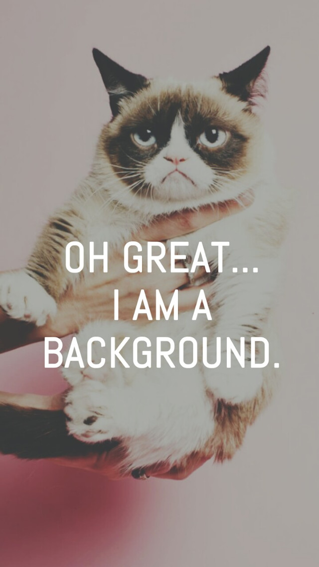 Grumpy cat hand background caption free wallpaper for mobile - medium preview image