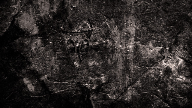 Rock wall tree bird flying free wallpaper for desktop - medium preview image