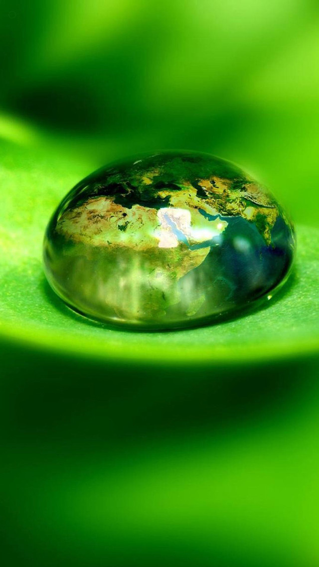 Water drop green leaf drops free wallpaper for mobile - medium preview image