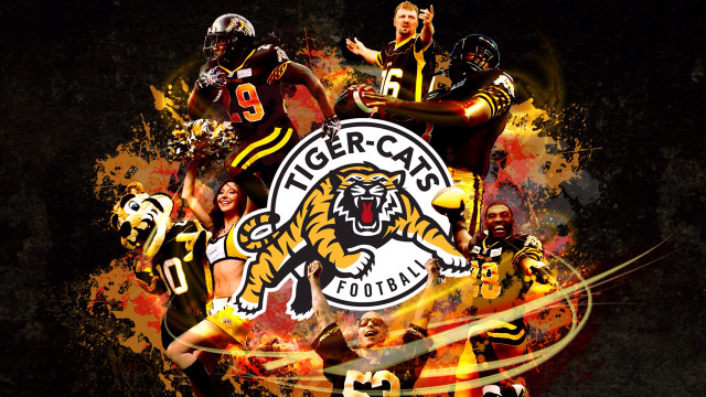 Football players tiger front tiger free wallpaper for desktop - medium preview image