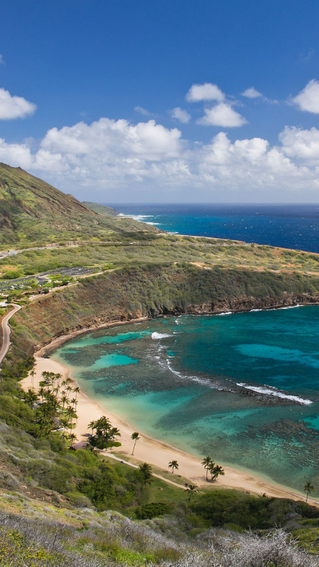 Beach ocean hilltop scenic view free wallpaper for mobile - medium preview image