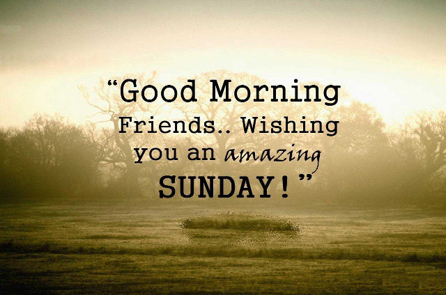 Good morning friends amazing sunday free wallpaper for desktop - medium preview image