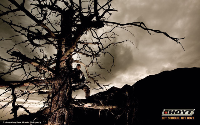 Man standing tree branch cloudy free wallpaper for desktop - medium preview image