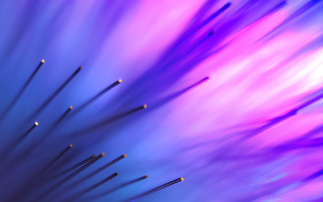 Sticks closeup blurry background purple free wallpaper for desktop - medium preview image