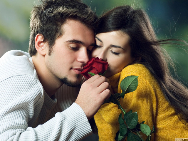 Man woman kissing holding rose #2 free wallpaper for desktop - medium preview image