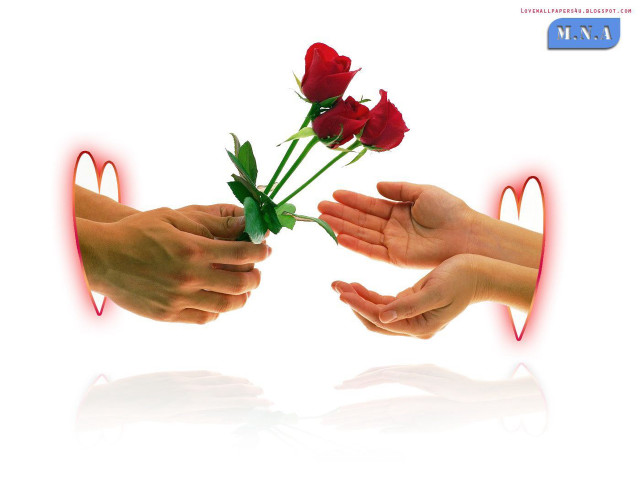Hands holding rose heart red free wallpaper for desktop - medium preview image