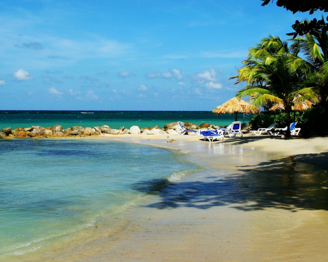 Beach chairs umbrellas ocean palm free wallpaper for desktop - medium preview image