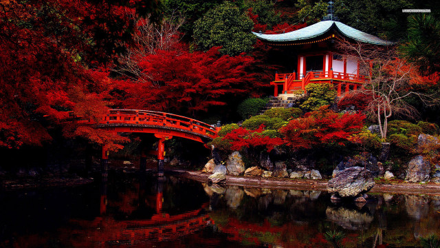 Red bridge autumn leaves japanese free wallpaper for desktop - medium preview image