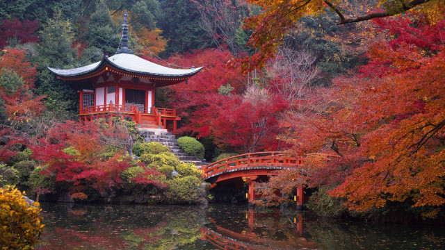 Small bridge red leaves pagoda free wallpaper for desktop - medium preview image