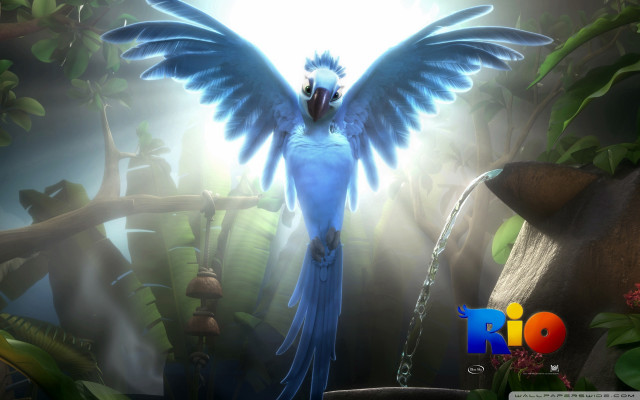 Blue bird wings waterfall sunlight free wallpaper for desktop - medium preview image