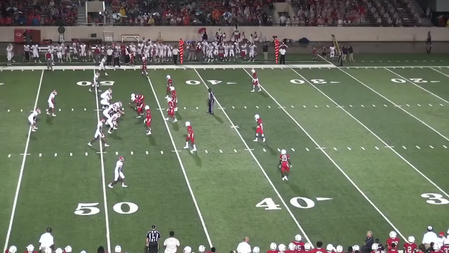 Football game crowd stands player free wallpaper for desktop - medium preview image