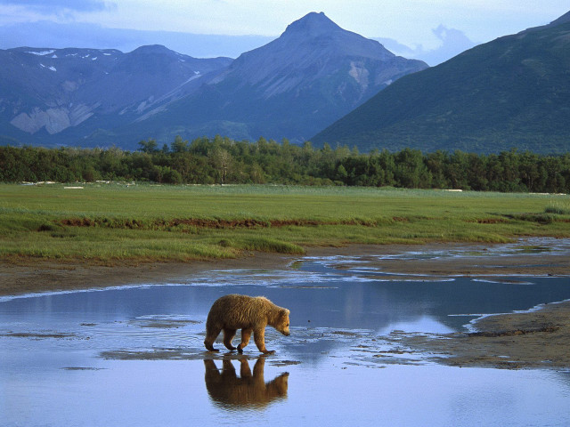 Bear river mountains grass reflection free wallpaper for desktop - medium preview image