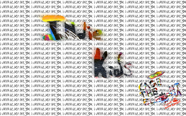 Dog hat umbrella background items free wallpaper for desktop - medium preview image