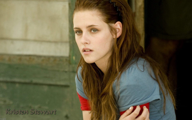 Woman long hair blue shirt #12 free wallpaper for desktop - medium preview image