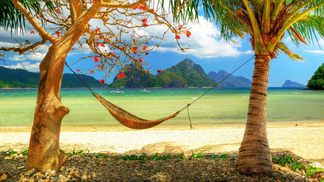 Hammock palm trees beach ocean free wallpaper for desktop - medium preview image