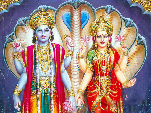 Colorful women peacock head shoulder free wallpaper for desktop - medium preview image