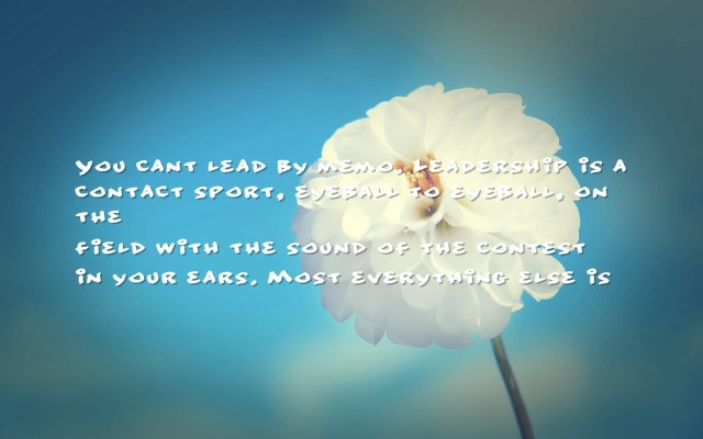 White flower quote lead contact free wallpaper for desktop - medium preview image