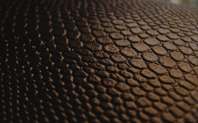 Brown object circles closeup building free wallpaper for desktop - medium preview image