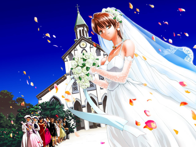 Bride groom church confetti bouquet free wallpaper for desktop - medium preview image