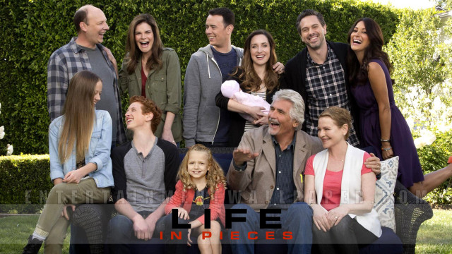 Group posing park tree life free wallpaper for desktop - medium preview image