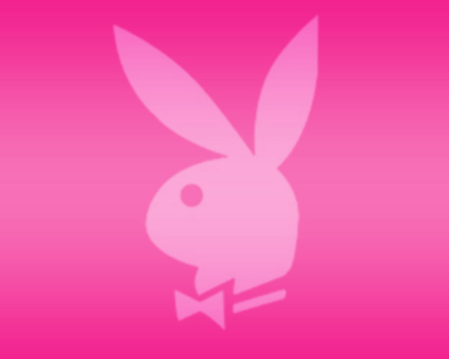 Pink bunny bow tie head free wallpaper for desktop - medium preview image