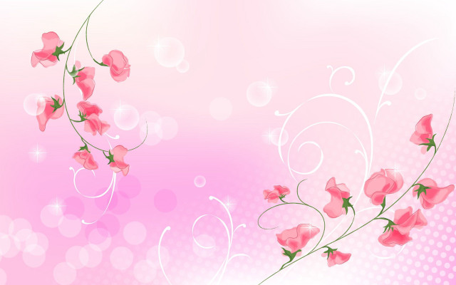 Pink background flowers bubbles white free wallpaper for desktop - medium preview image