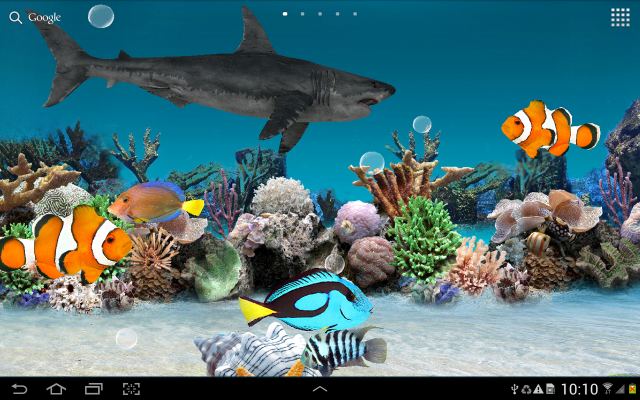 Computer screen fish shark ocean free wallpaper for desktop - medium preview image