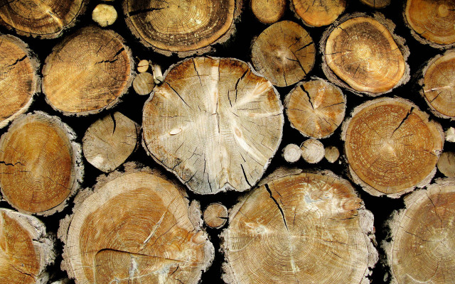 Cut logs stacked pile wood free wallpaper for desktop - medium preview image