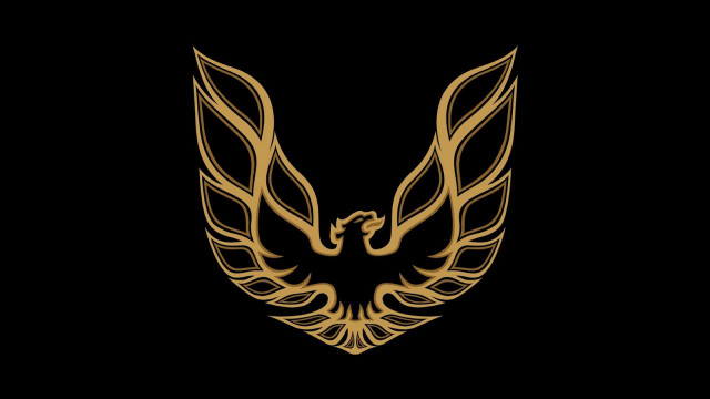 Golden bird wings black background free wallpaper for desktop - medium preview image
