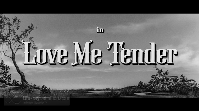 Black white tree sky love free wallpaper for desktop - medium preview image