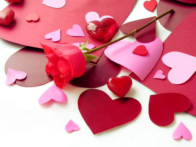 Rose hearts white table red free wallpaper for desktop - medium preview image