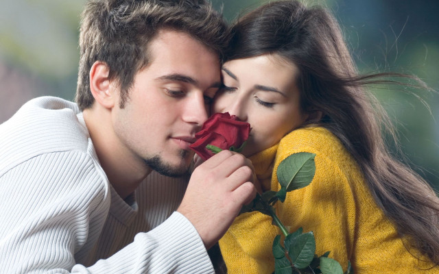 Man woman kissing holding rose #4 free wallpaper for desktop - medium preview image