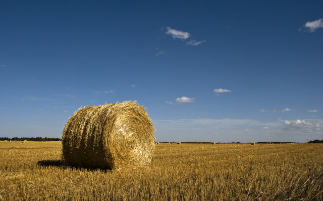 Hay bale wheat field blue free wallpaper for desktop - medium preview image