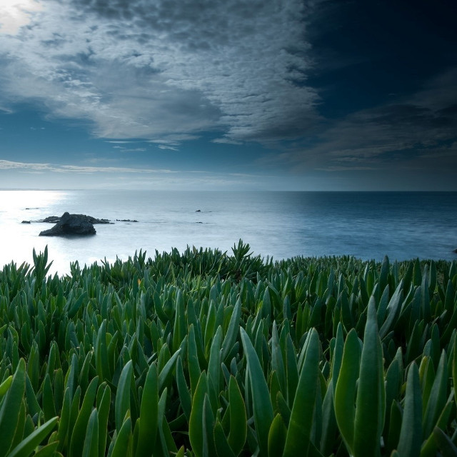 Grassy area water rock cloudy free wallpaper for tablet - medium preview image