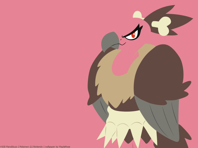 Bird big beak head image free wallpaper for desktop - medium preview image