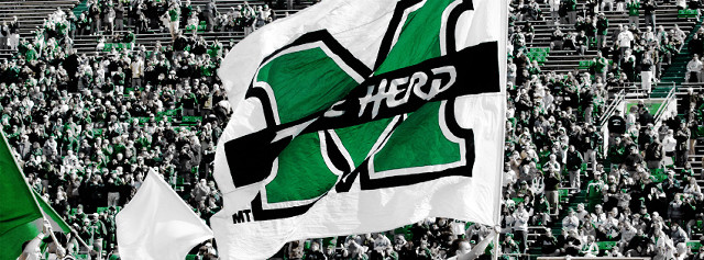 Stadium crowd flags banners green free wallpaper for desktop - medium preview image