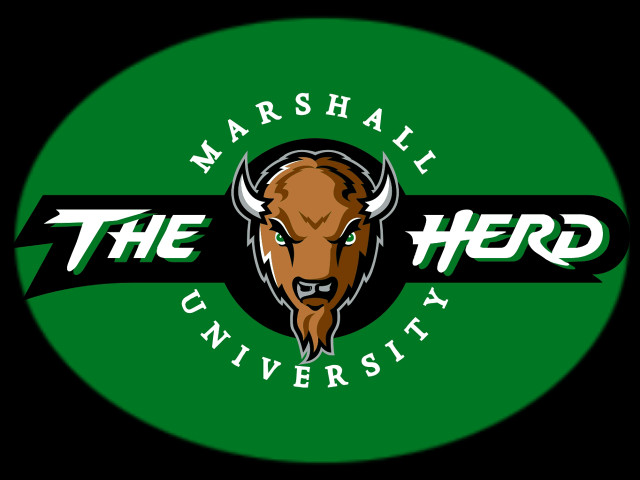 Green circle bull logo marshall free wallpaper for desktop - medium preview image