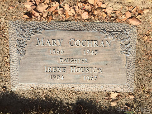 Plaque ground tree leaves around free wallpaper for desktop - medium preview image