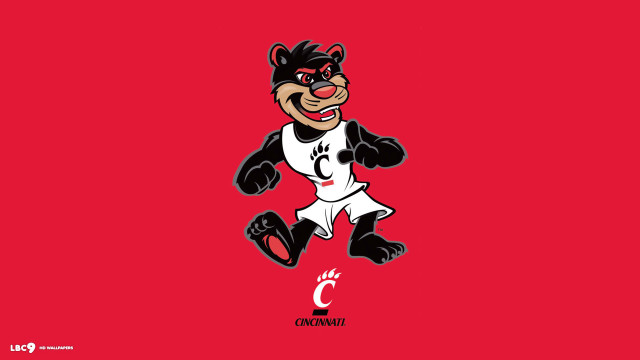 Cartoon bear baseball uniform glove free wallpaper for desktop - medium preview image