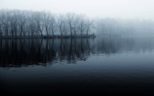 Lake trees fog water reflections #3 free wallpaper for desktop - medium preview image