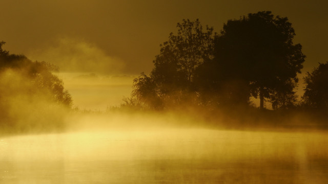 Foggy lake trees birds flying free wallpaper for desktop - medium preview image