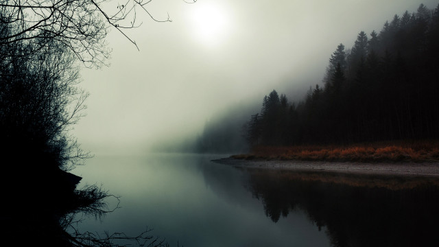 Foggy lake trees forest sun free wallpaper for desktop - medium preview image