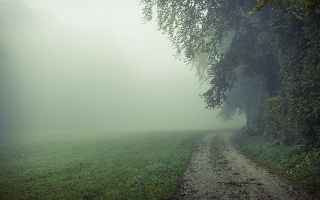 Dirt road field tree fog free wallpaper for desktop - medium preview image