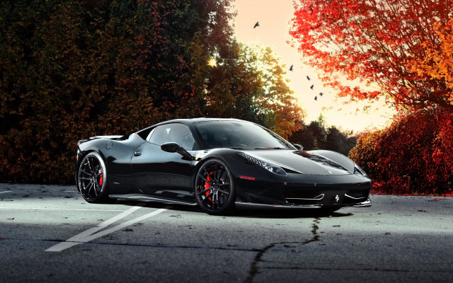 Black sports car autumn red free wallpaper for desktop - medium preview image